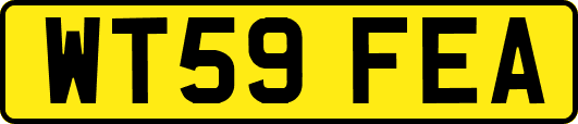WT59FEA