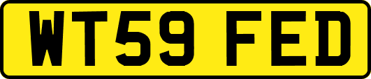 WT59FED