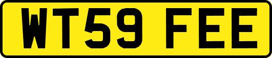 WT59FEE