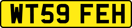 WT59FEH