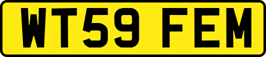 WT59FEM