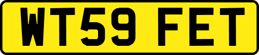 WT59FET
