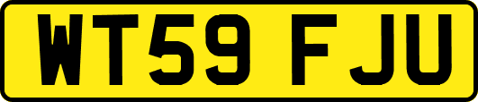 WT59FJU