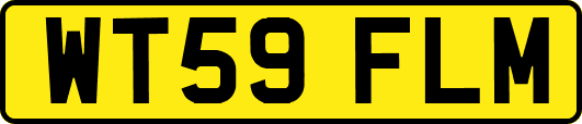 WT59FLM