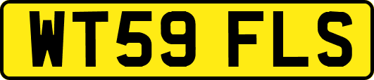 WT59FLS