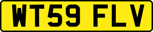 WT59FLV