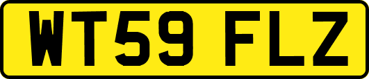 WT59FLZ
