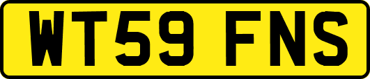 WT59FNS