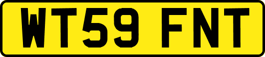 WT59FNT
