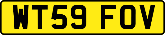 WT59FOV