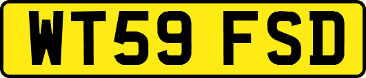 WT59FSD