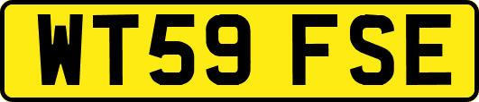 WT59FSE