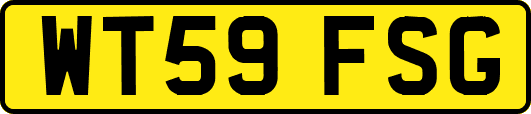 WT59FSG
