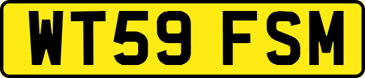 WT59FSM