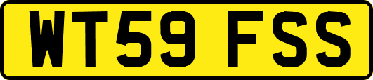 WT59FSS