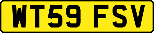 WT59FSV