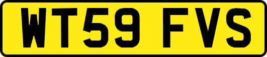 WT59FVS