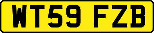 WT59FZB