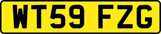 WT59FZG
