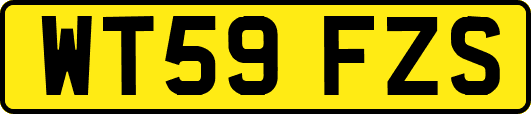 WT59FZS