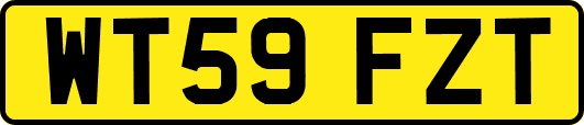 WT59FZT