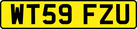 WT59FZU