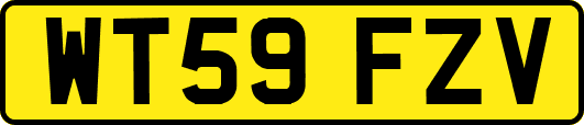 WT59FZV