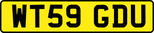 WT59GDU