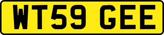 WT59GEE