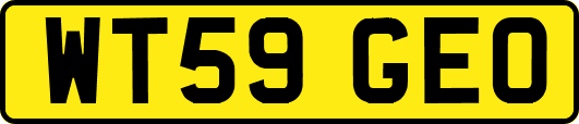 WT59GEO