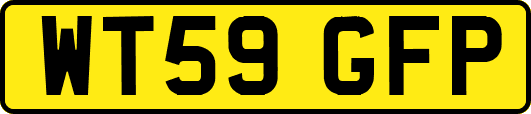 WT59GFP