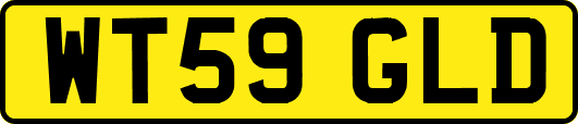 WT59GLD