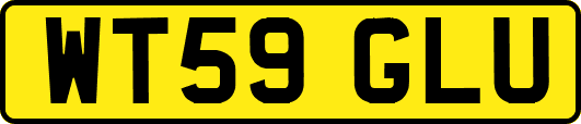 WT59GLU