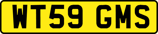WT59GMS
