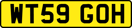 WT59GOH