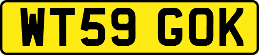 WT59GOK