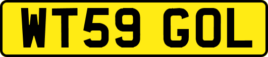 WT59GOL