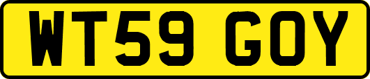 WT59GOY