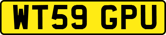 WT59GPU