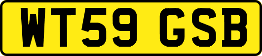 WT59GSB