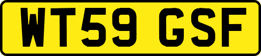 WT59GSF