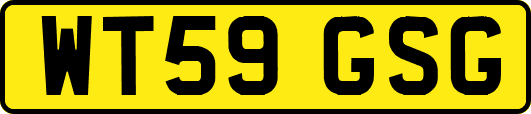 WT59GSG