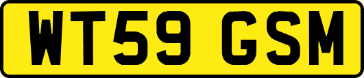 WT59GSM