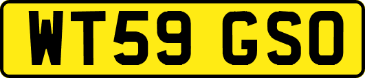 WT59GSO