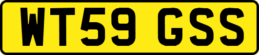 WT59GSS