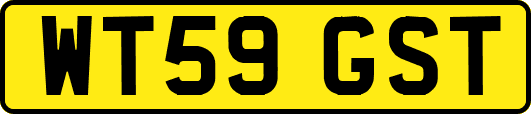 WT59GST