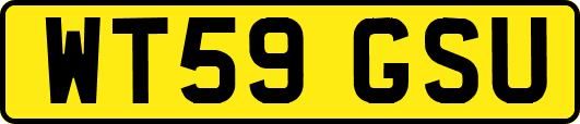 WT59GSU