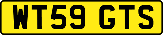 WT59GTS