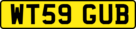 WT59GUB
