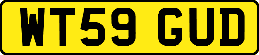 WT59GUD